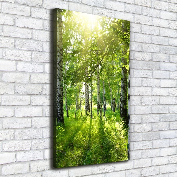 Wall art canvas Birch forest