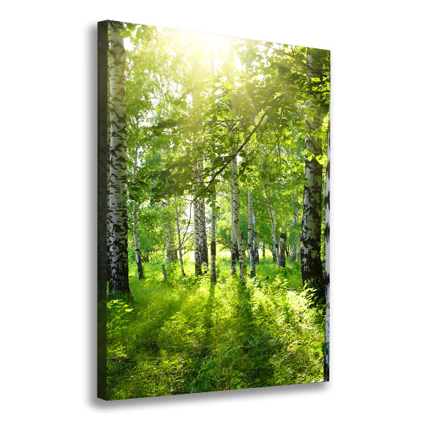 Wall art canvas Birch forest