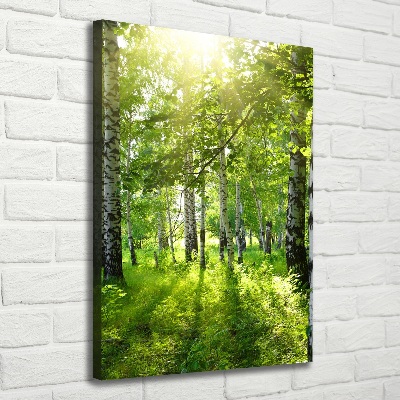 Wall art canvas Birch forest