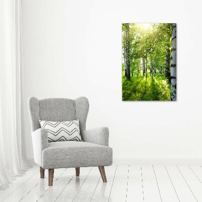 Wall art canvas Birch forest