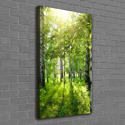 Wall art canvas Birch forest