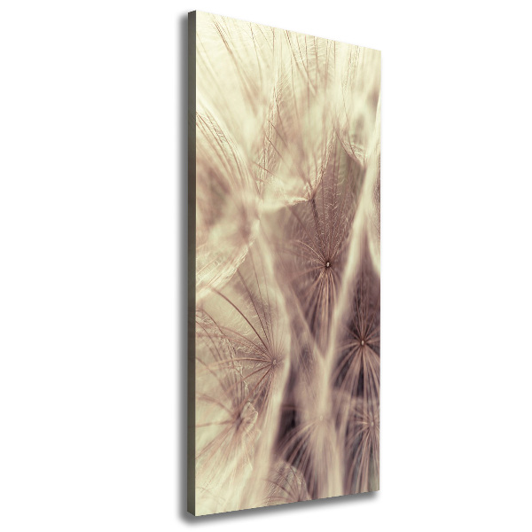 Canvas wall art Dandelion