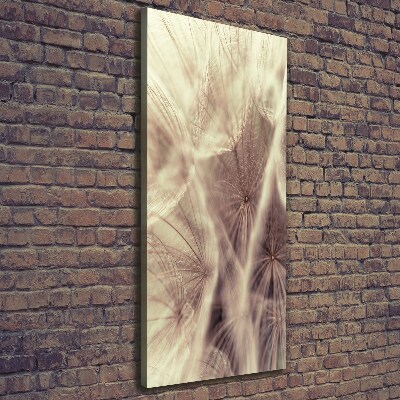 Canvas wall art Dandelion