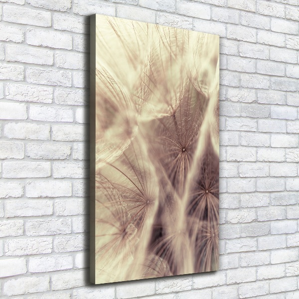 Canvas wall art Dandelion