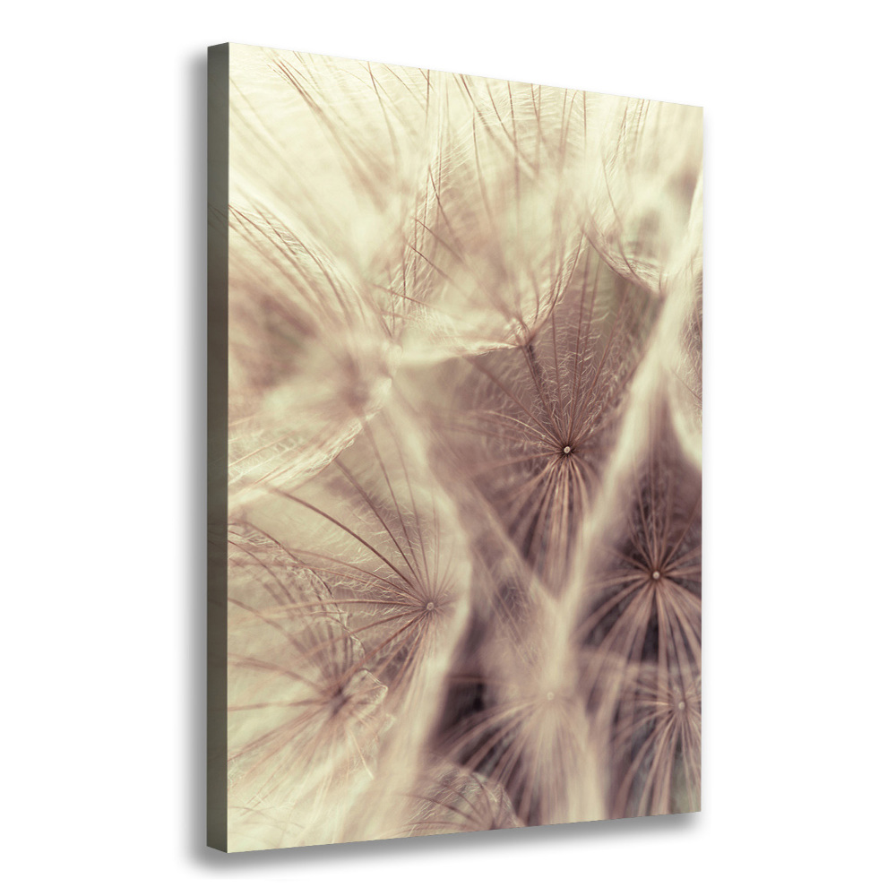 Canvas wall art Dandelion