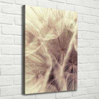 Canvas wall art Dandelion