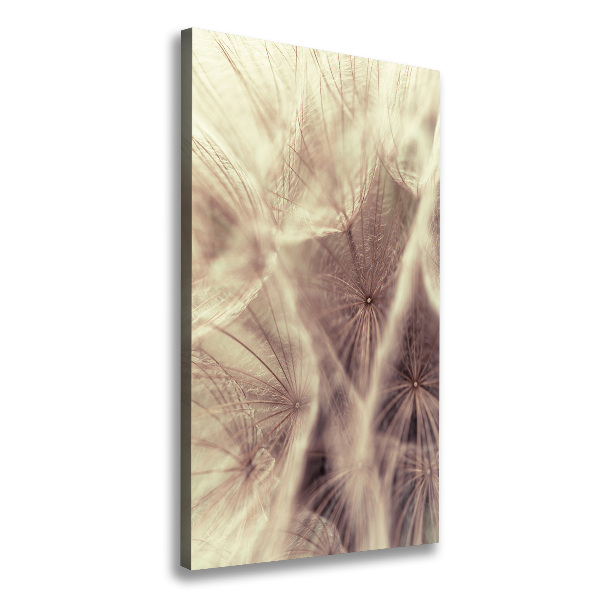 Canvas wall art Dandelion