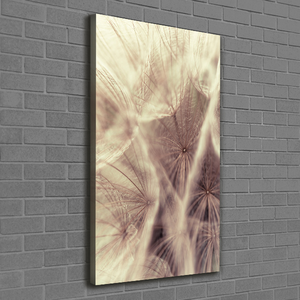 Canvas wall art Dandelion