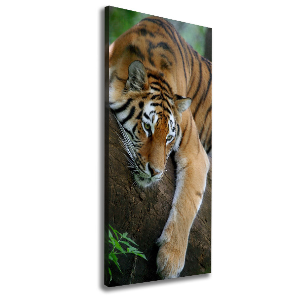 Large canvas wall art Tiger on a tree