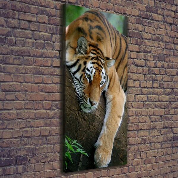 Large canvas wall art Tiger on a tree