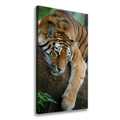 Large canvas wall art Tiger on a tree