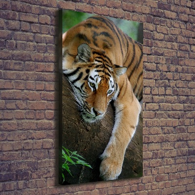 Large canvas wall art Tiger on a tree