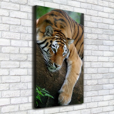 Large canvas wall art Tiger on a tree