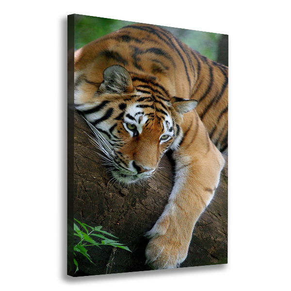 Large canvas wall art Tiger on a tree