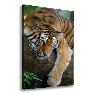 Large canvas wall art Tiger on a tree