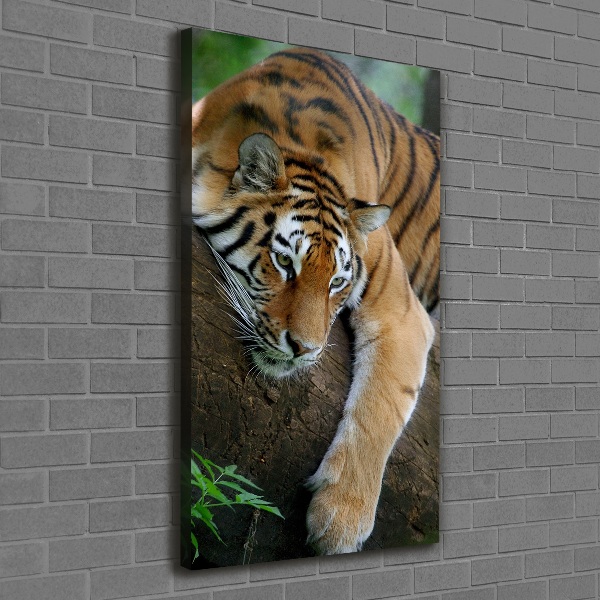 Large canvas wall art Tiger on a tree