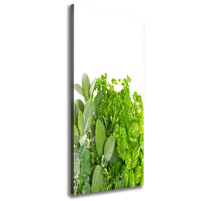 Canvas print Herbs