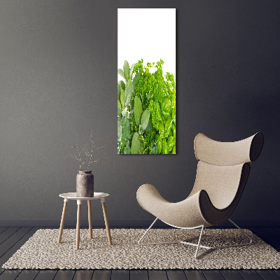 Canvas print Herbs