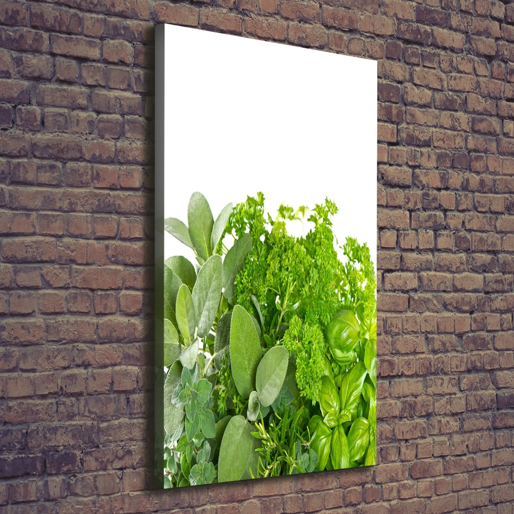 Canvas print Herbs