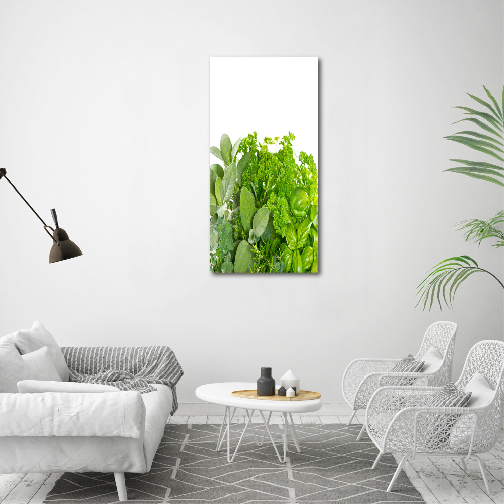 Canvas print Herbs