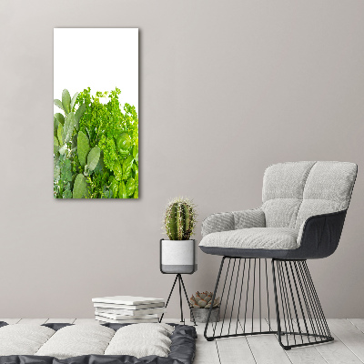 Canvas print Herbs