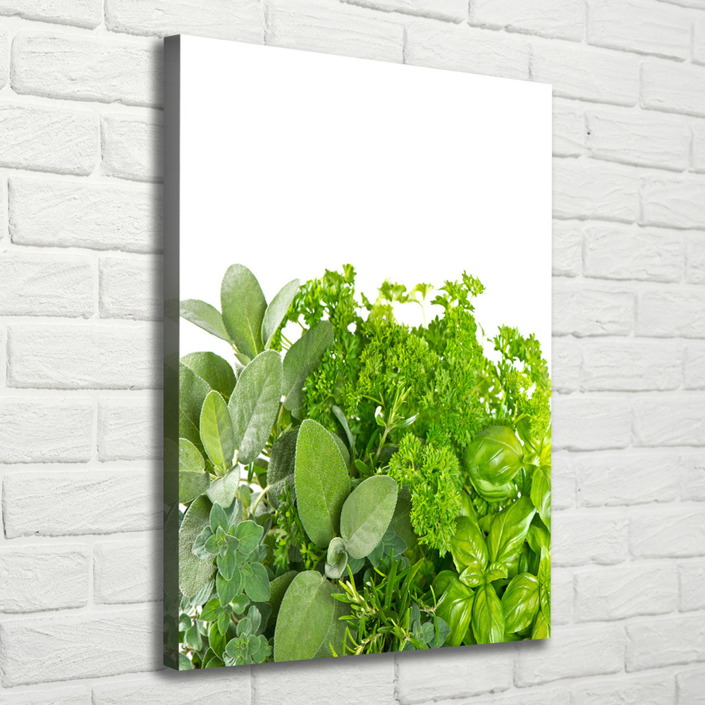 Canvas print Herbs