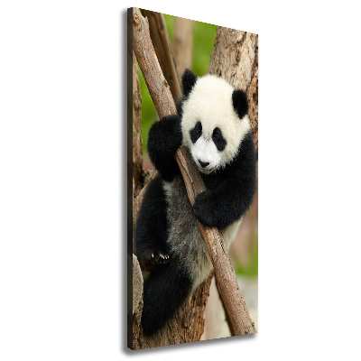 Large canvas wall art Panda on a tree