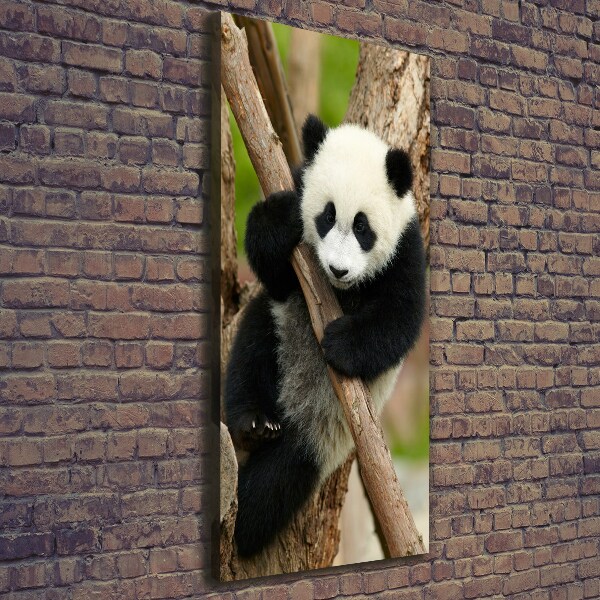 Large canvas wall art Panda on a tree