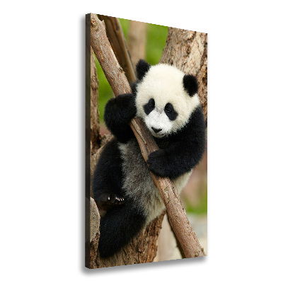 Large canvas wall art Panda on a tree