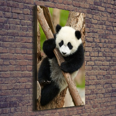 Large canvas wall art Panda on a tree