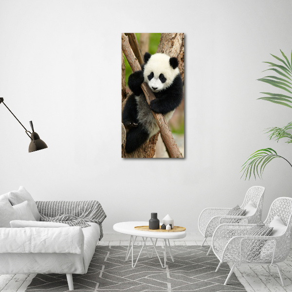 Large canvas wall art Panda on a tree