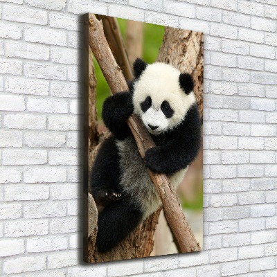 Large canvas wall art Panda on a tree