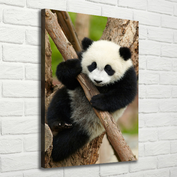 Large canvas wall art Panda on a tree