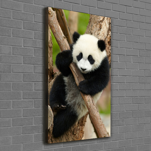 Large canvas wall art Panda on a tree