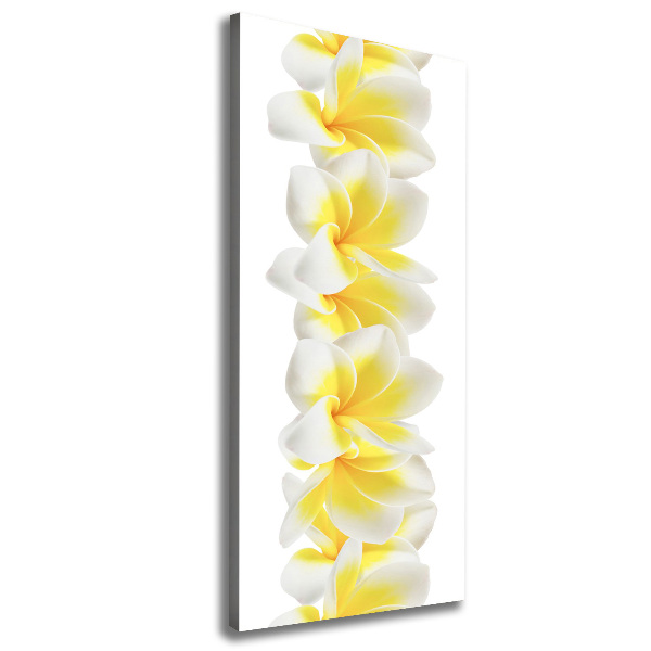 Canvas wall art Plumeria