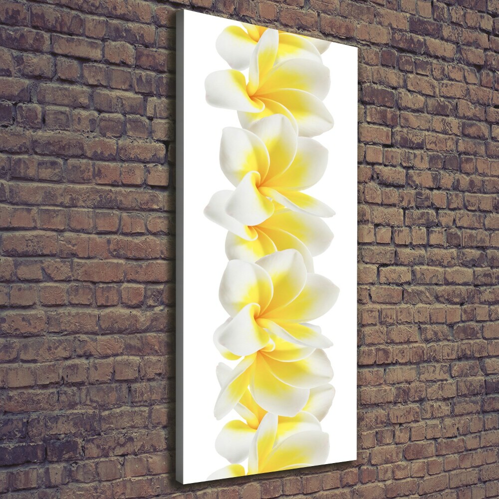 Canvas wall art Plumeria