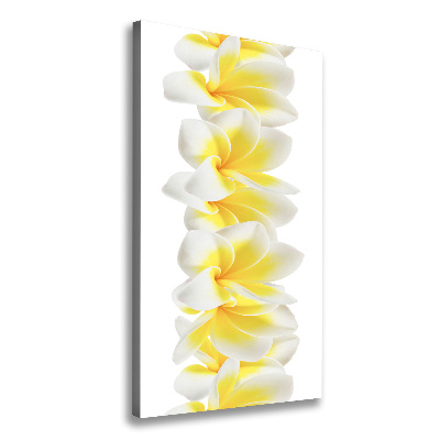 Canvas wall art Plumeria