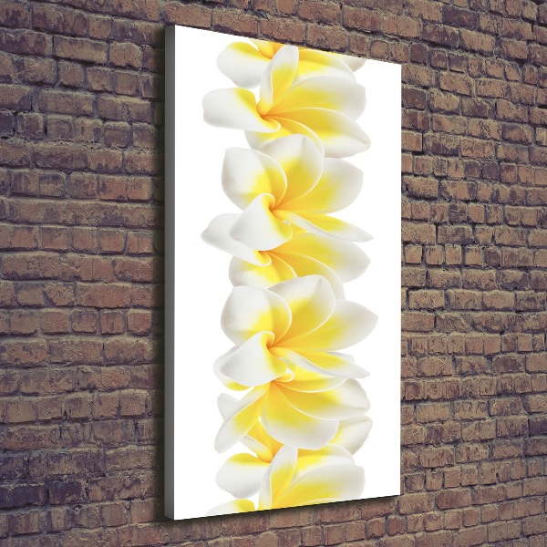 Canvas wall art Plumeria