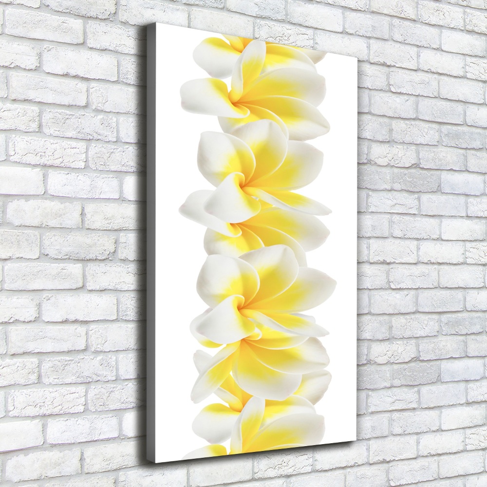 Canvas wall art Plumeria