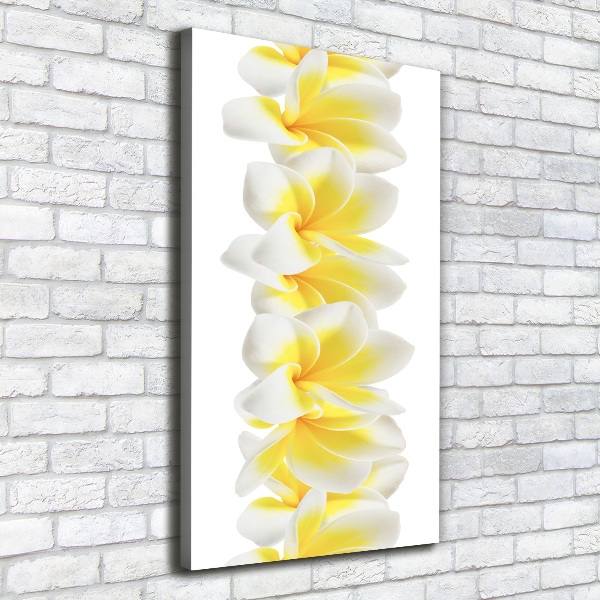 Canvas wall art Plumeria