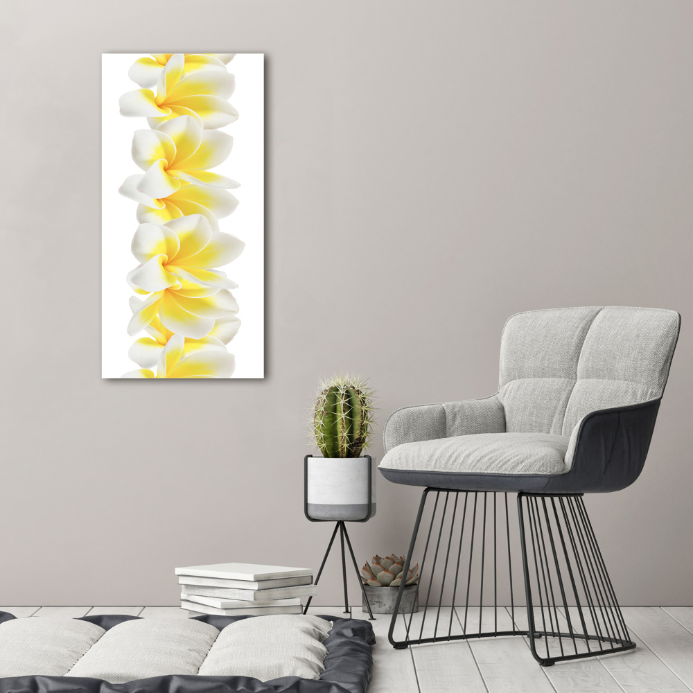 Canvas wall art Plumeria