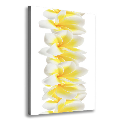 Canvas wall art Plumeria