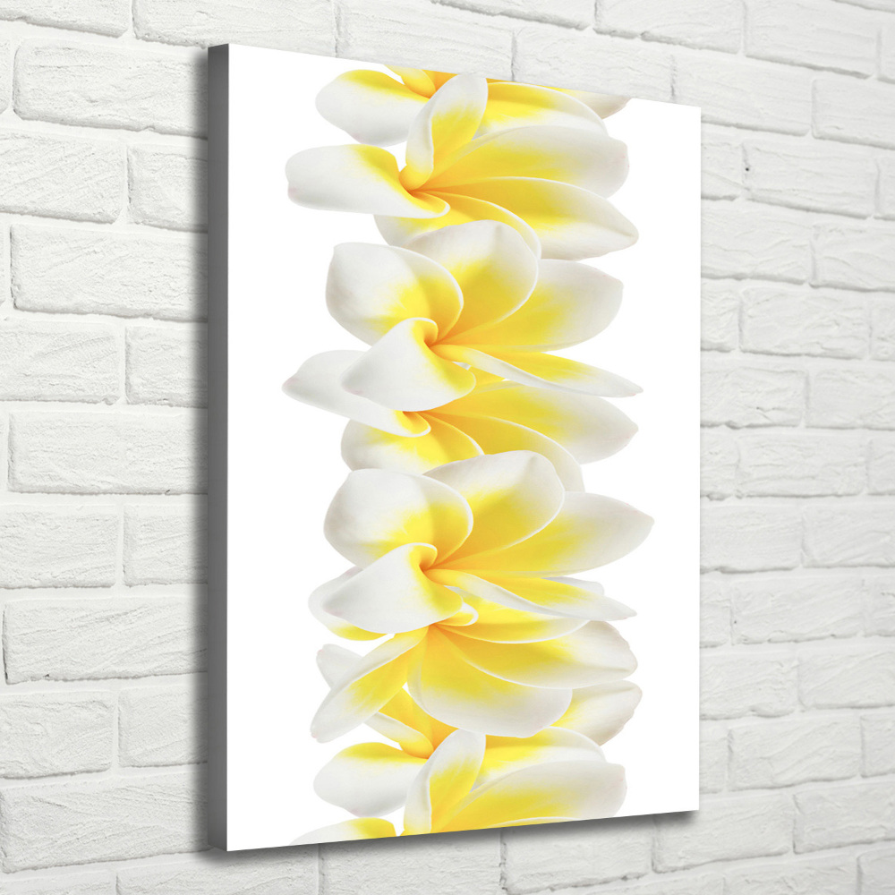 Canvas wall art Plumeria