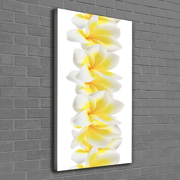 Canvas wall art Plumeria