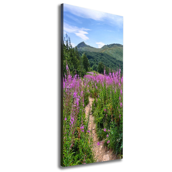 Picture canvas print Bieszczady Mountains