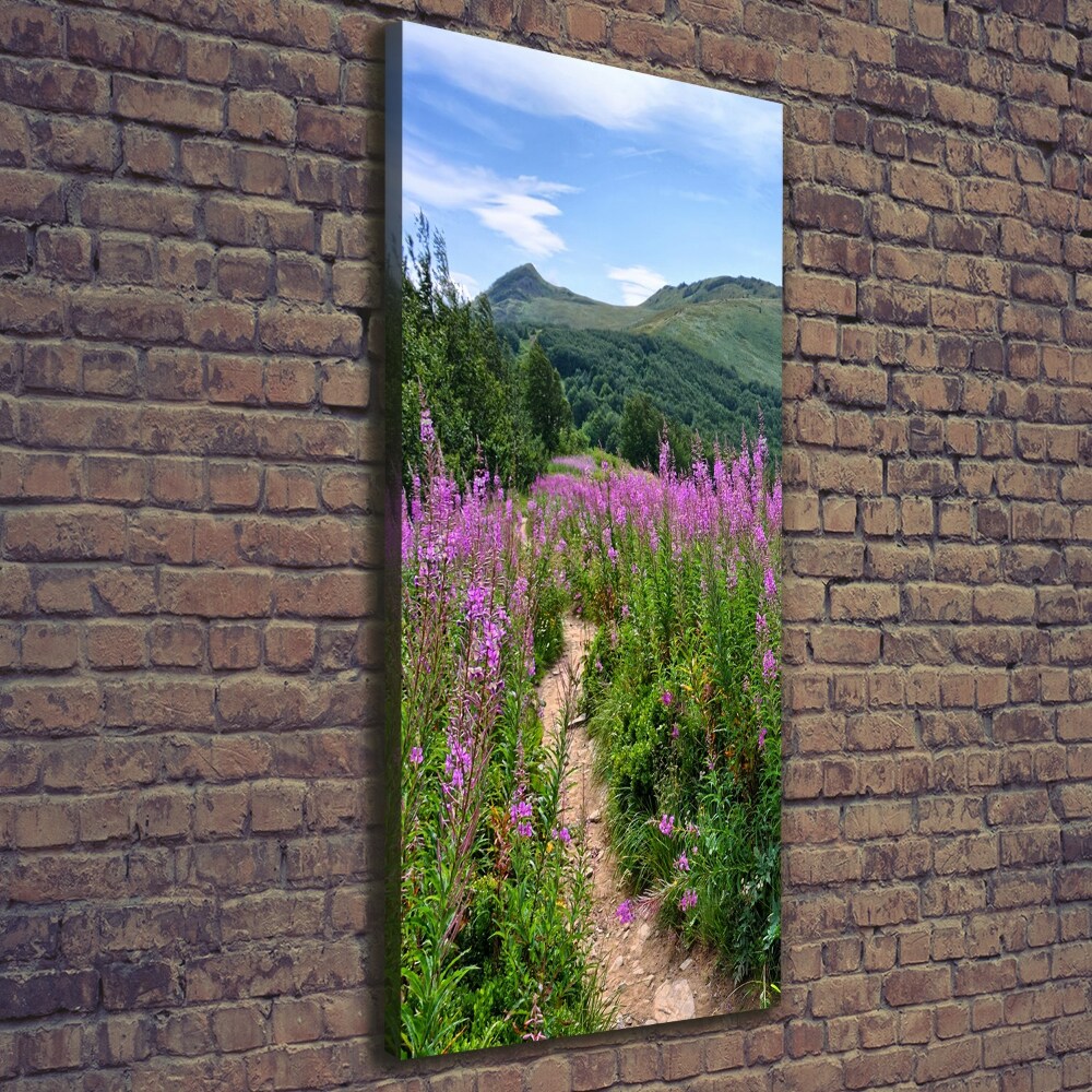 Picture canvas print Bieszczady Mountains