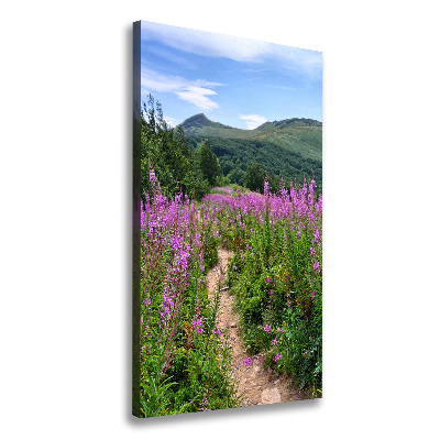 Picture canvas print Bieszczady Mountains