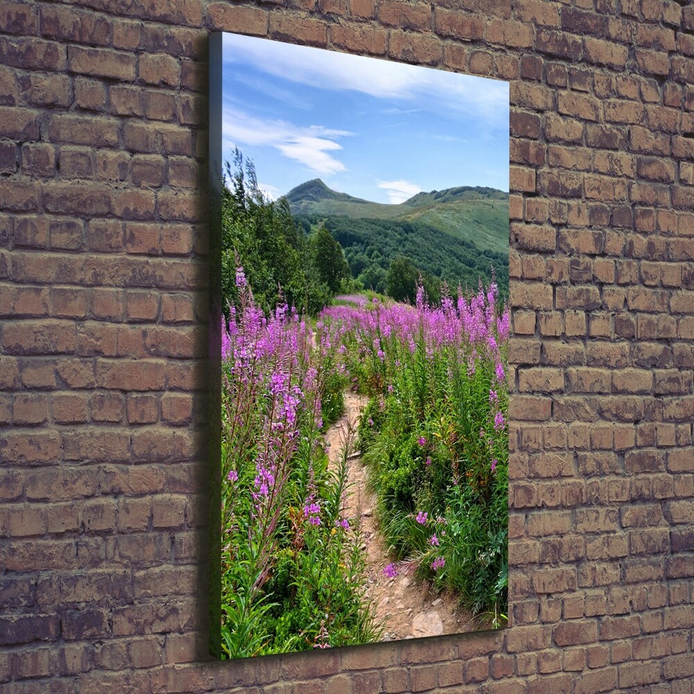 Picture canvas print Bieszczady Mountains