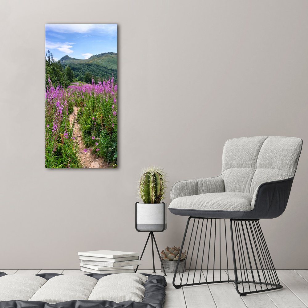 Picture canvas print Bieszczady Mountains