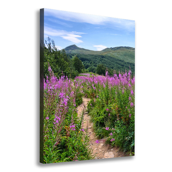 Picture canvas print Bieszczady Mountains